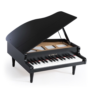 グランドピアノ ブラック 1141